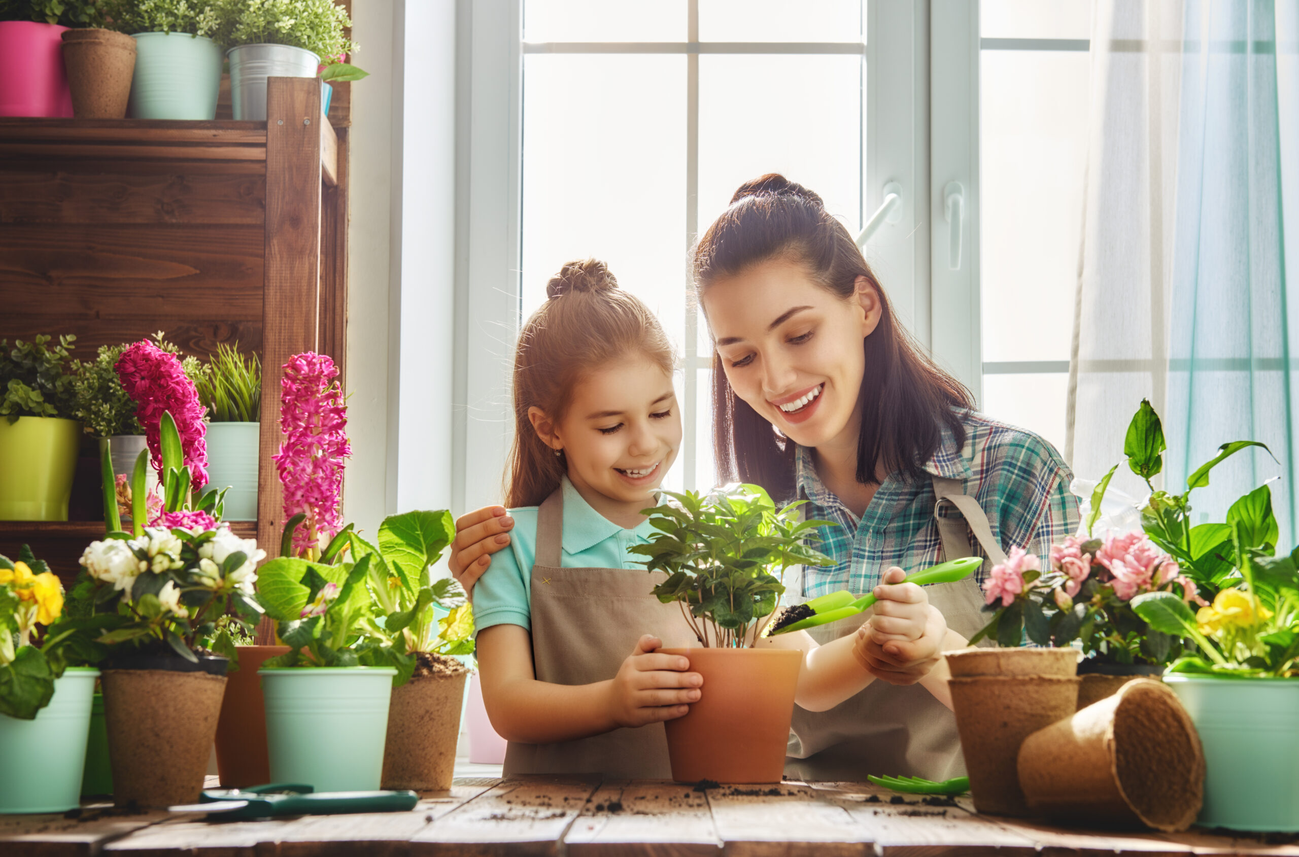 Renove os ambientes com a chegada da Primavera!